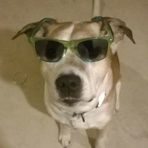 Meet your Posher, Brett